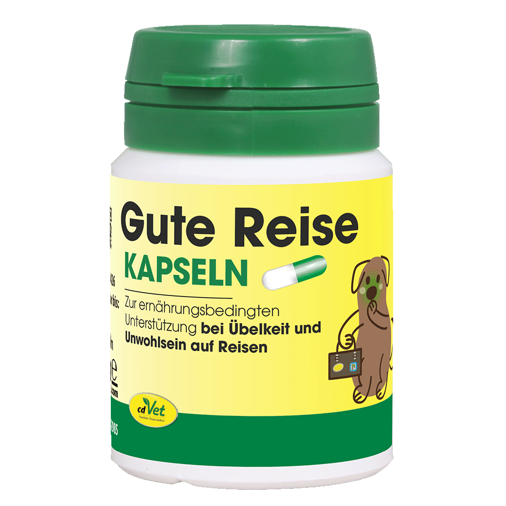 Gute Reise - Anti Kotzi