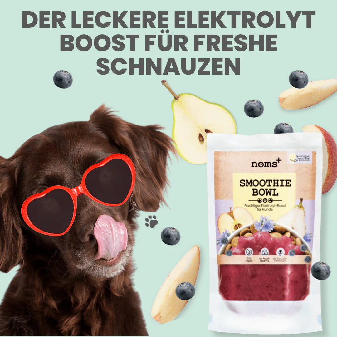 Smoothie Bowl Elektrolyt Booster