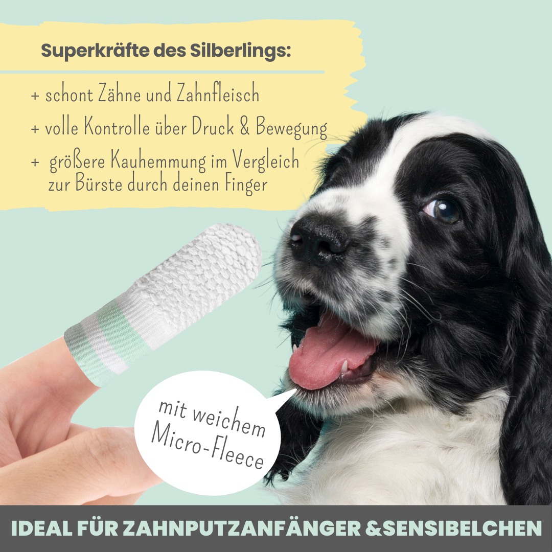 Zahnpasta für Hunde mit natürlicher Pflege- und Präventionsformel
