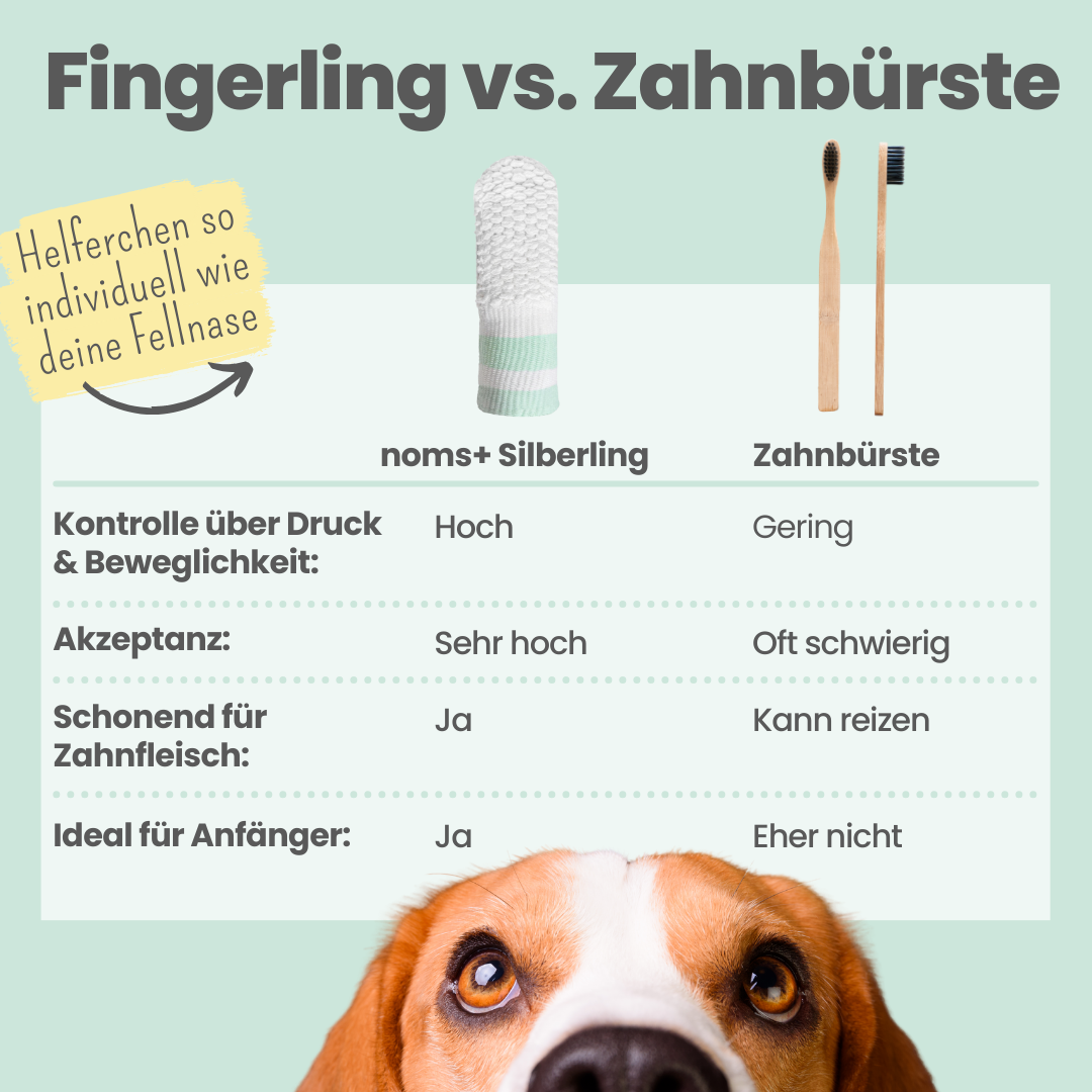 Zahnpasta für Hunde mit natürlicher Pflege- und Präventionsformel