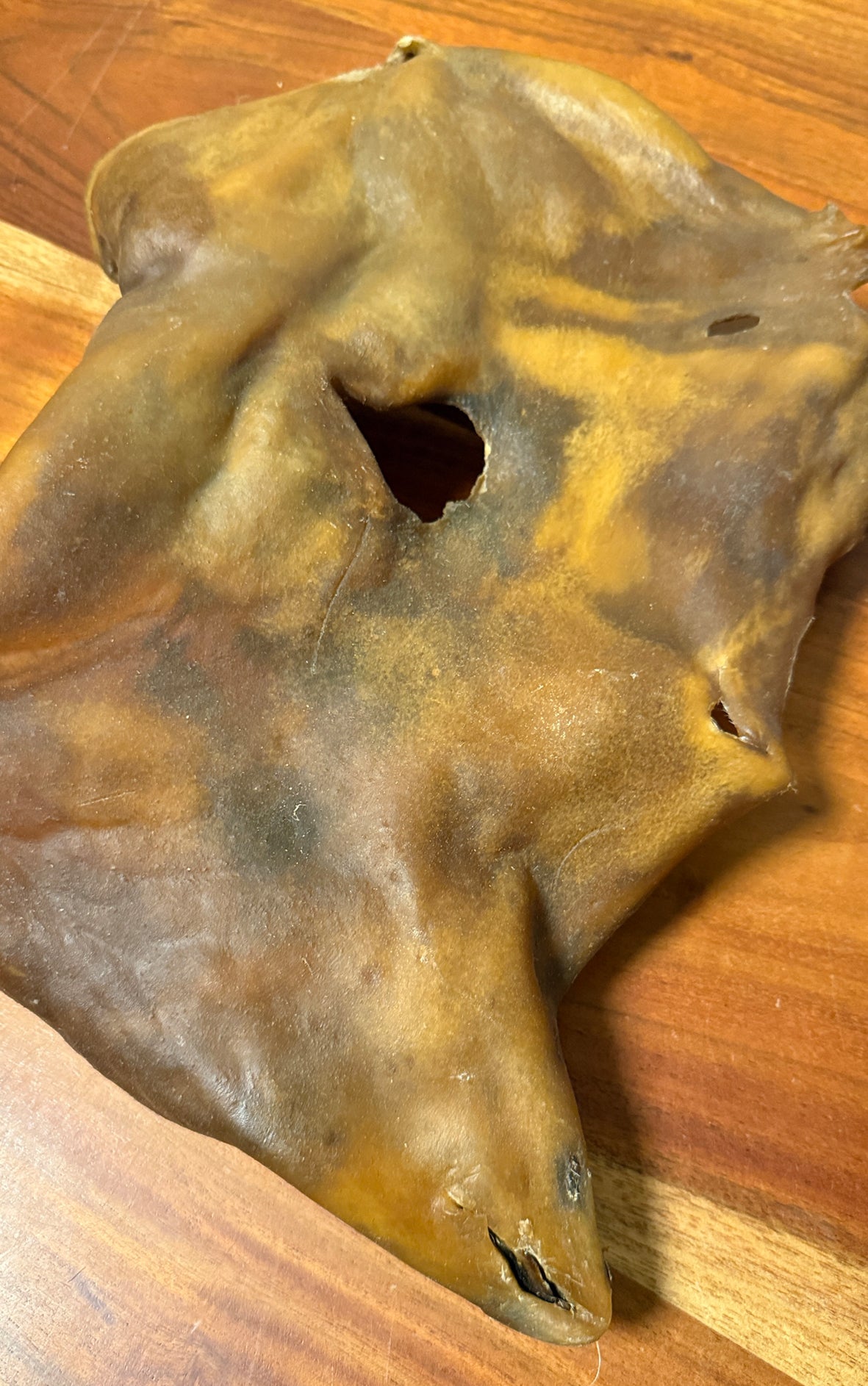 Bullen-Haut-Platte XXL