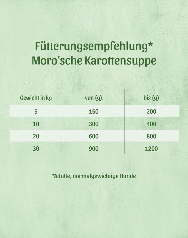 Karotten-Suppe nach Moro