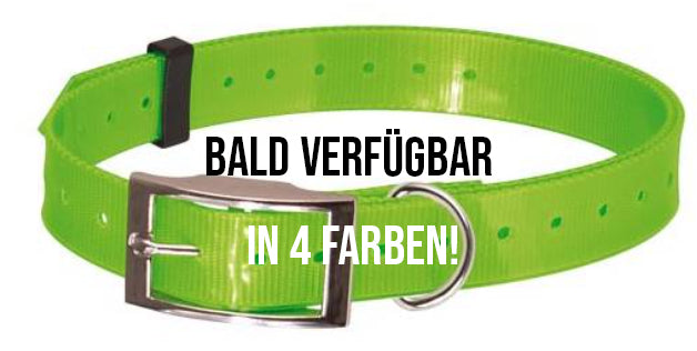 Halsband - Wasserfest