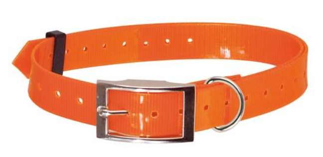 Halsband - Wasserfest