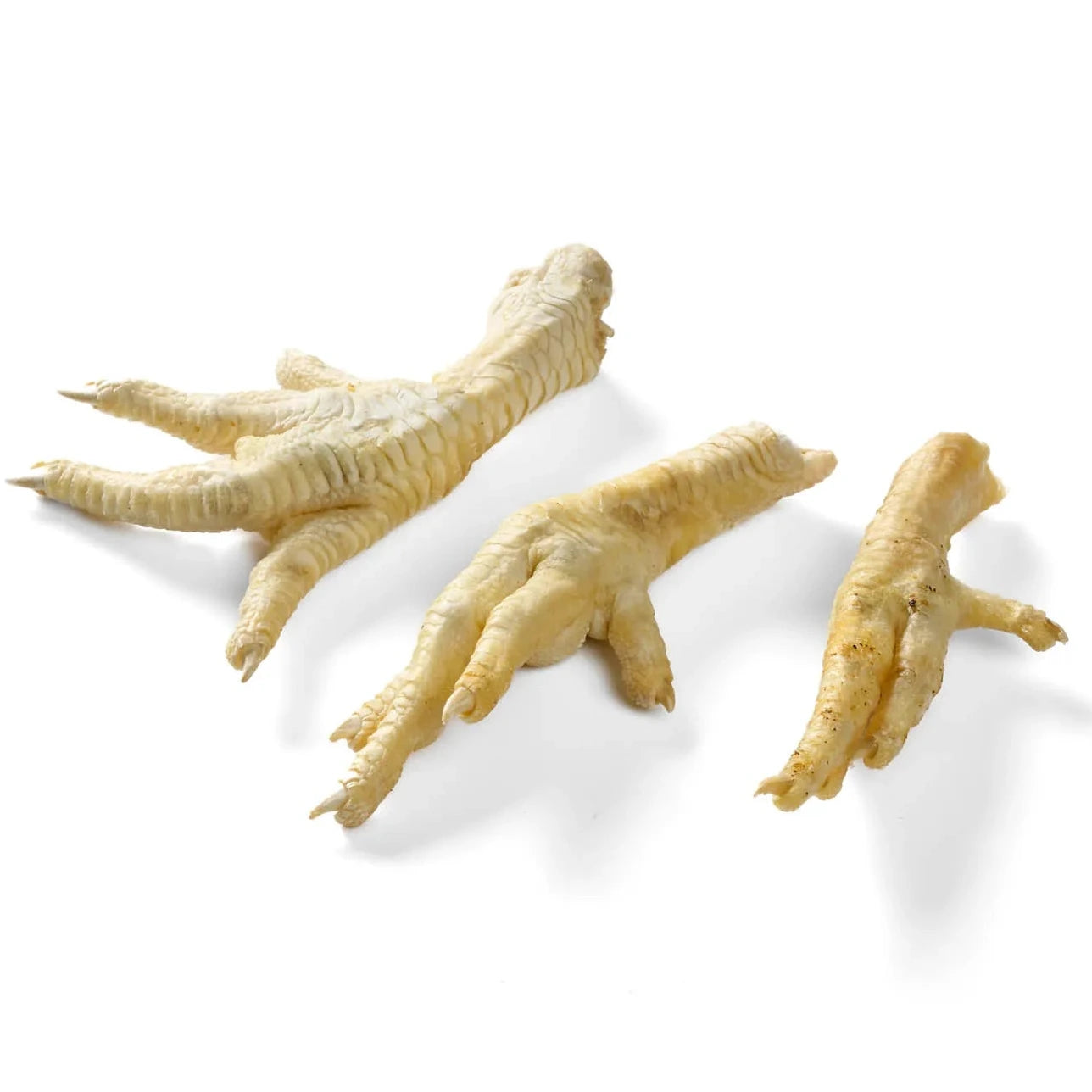 Hühner-Fuß, gefriergetrocknet