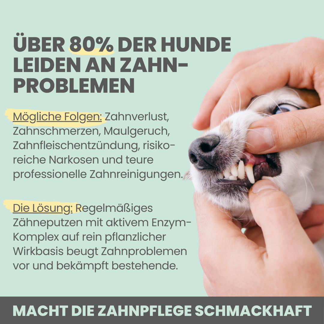 Zahnpasta für Hunde mit natürlicher Pflege- und Präventionsformel