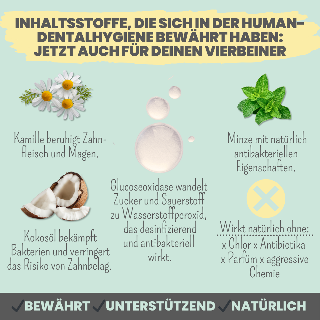 Zahnpasta für Hunde mit natürlicher Pflege- und Präventionsformel