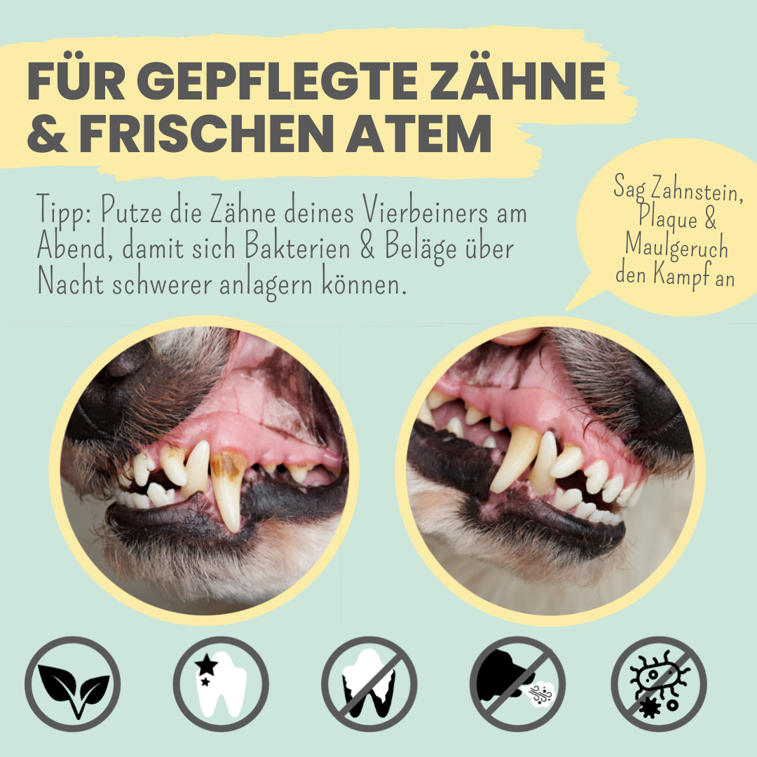 Zahnpasta für Hunde mit natürlicher Pflege- und Präventionsformel