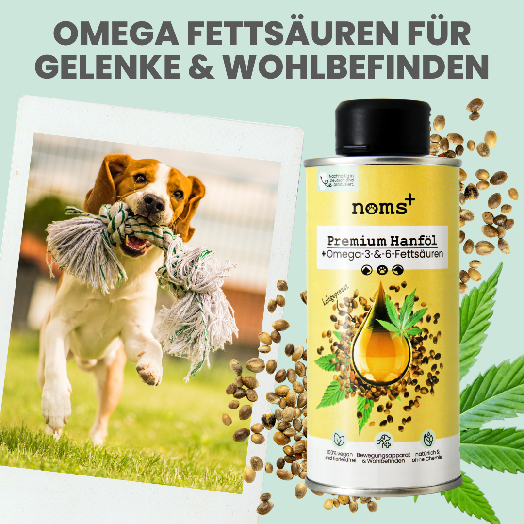 Hanfsamen Öl - kaltgepresst