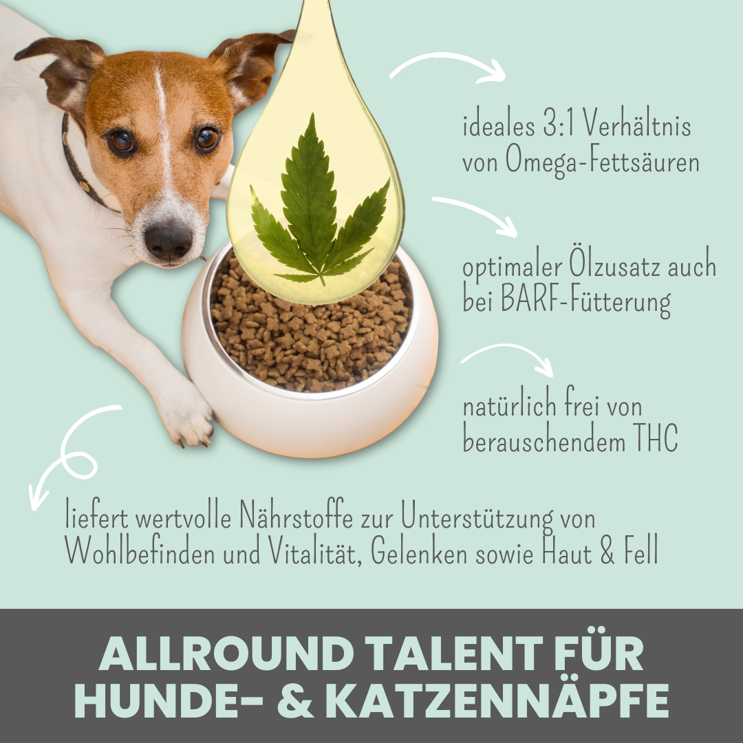 Hanfsamen Öl - kaltgepresst