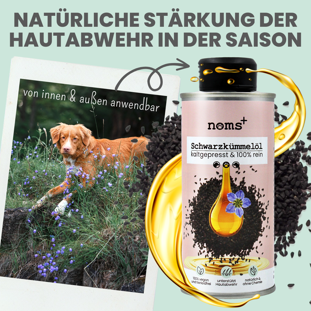 Premium Schwarzkümmelöl - kaltgepresst