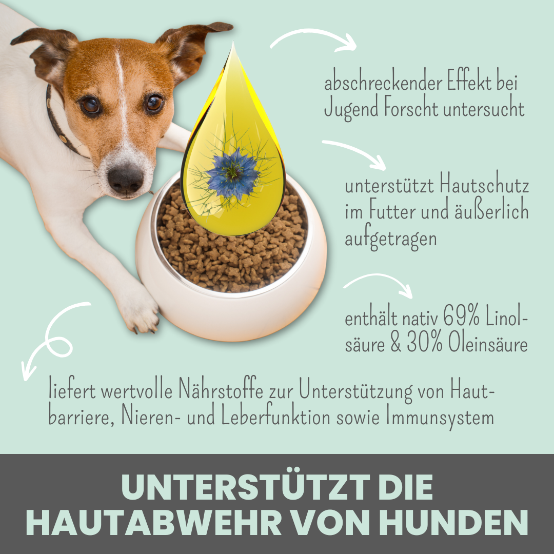 Premium Schwarzkümmelöl - kaltgepresst