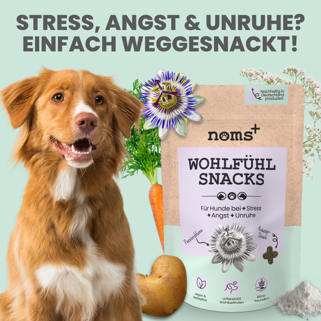 Wohlfühlsnacks bei Stress, Angst + Unruhe