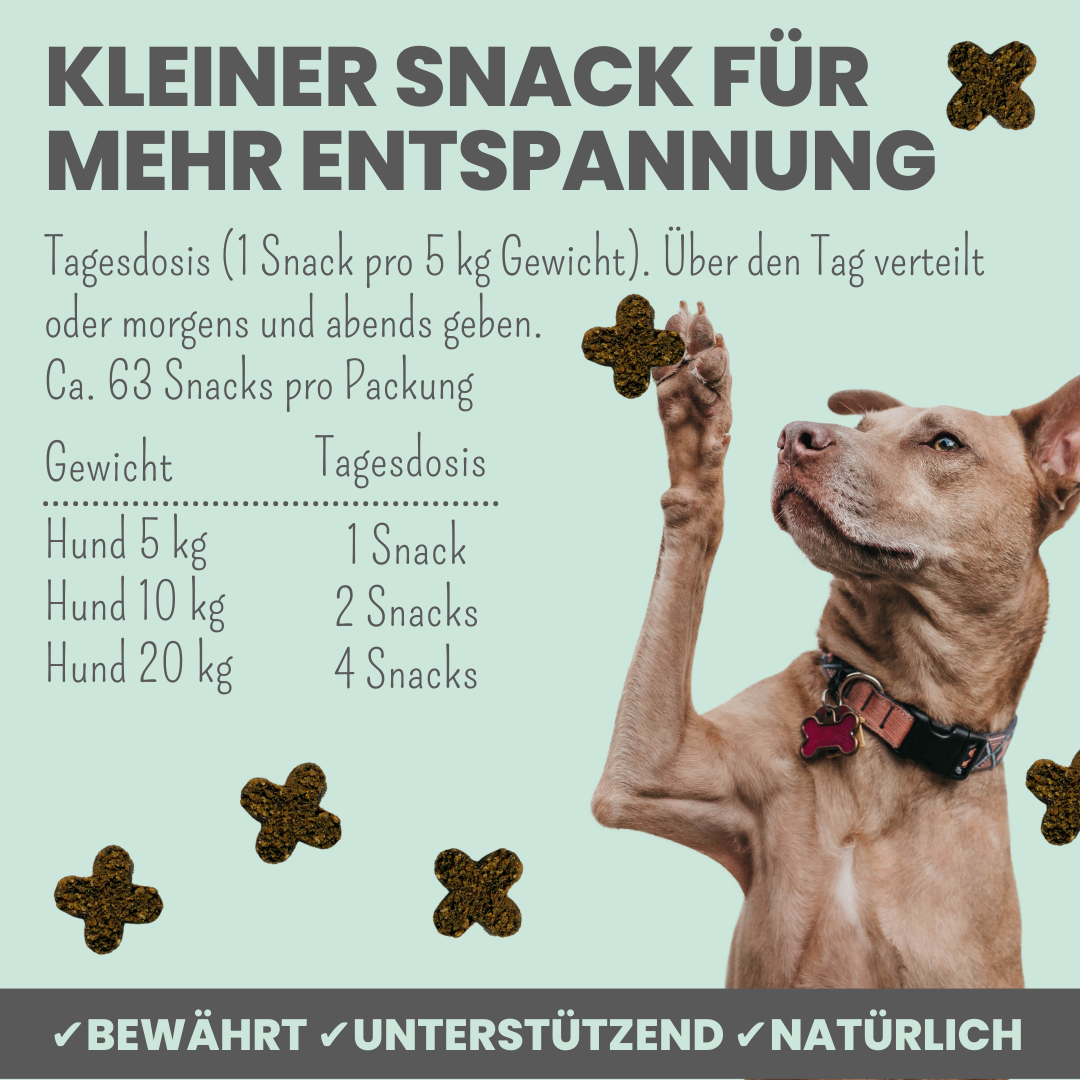 Wohlfühlsnacks bei Stress, Angst + Unruhe