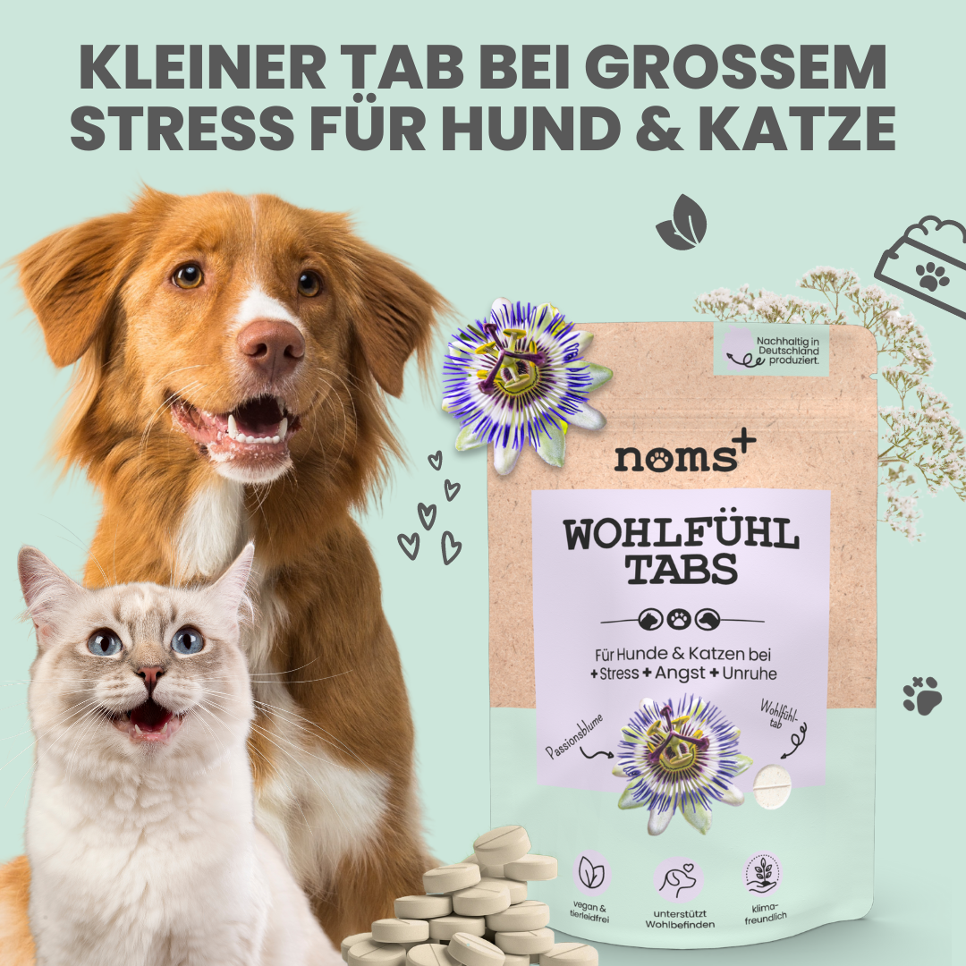 Wohlfühltabs bei Stress, Angst + Unruhe