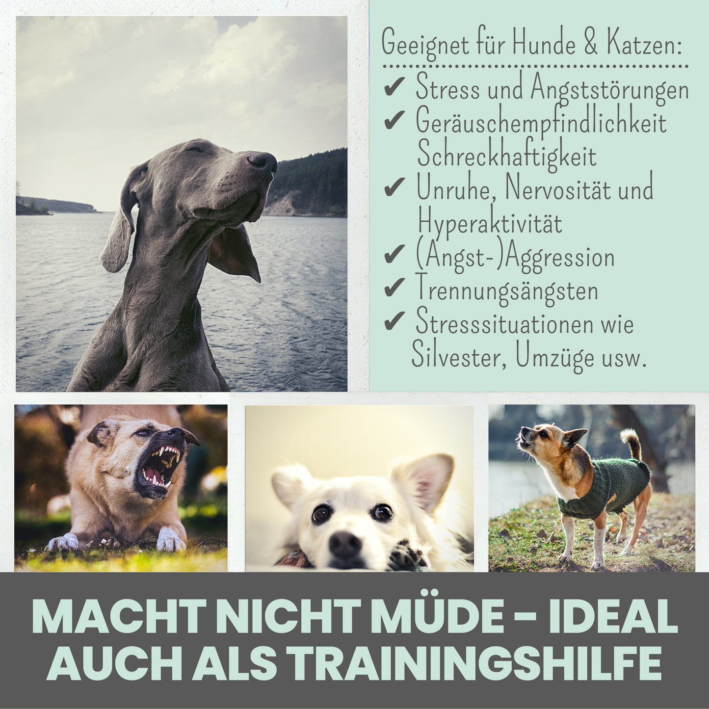 Wohlfühltabs bei Stress, Angst + Unruhe