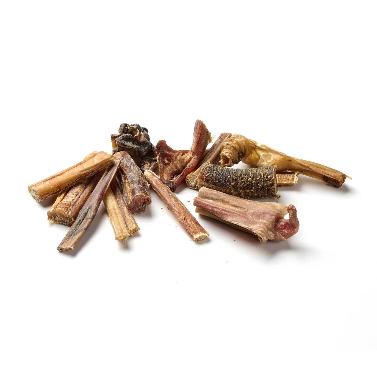 Ziemer Büffel / Ochse