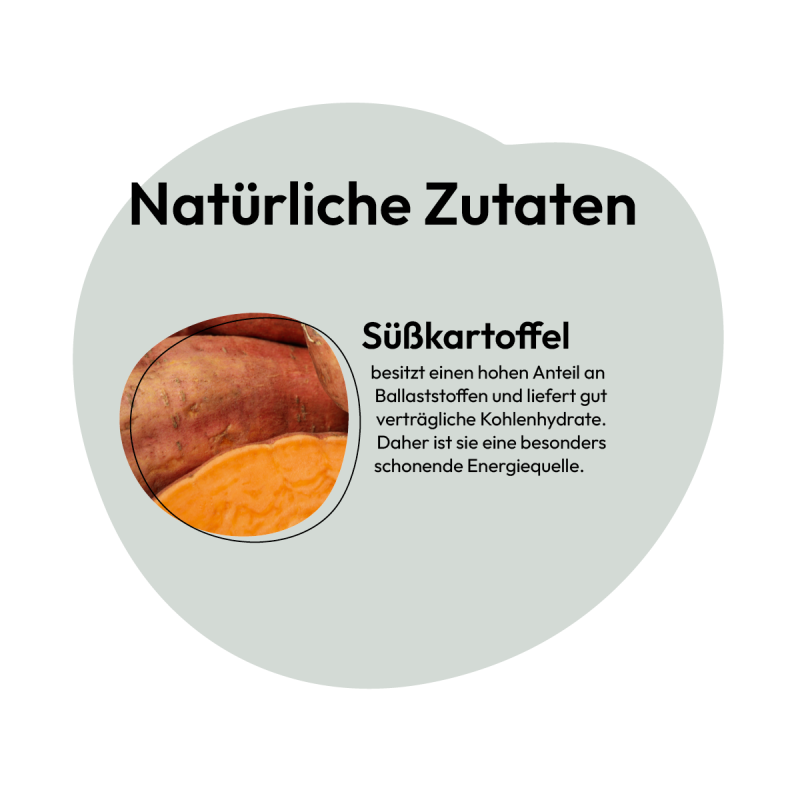 Süßkartoffel-Grieß