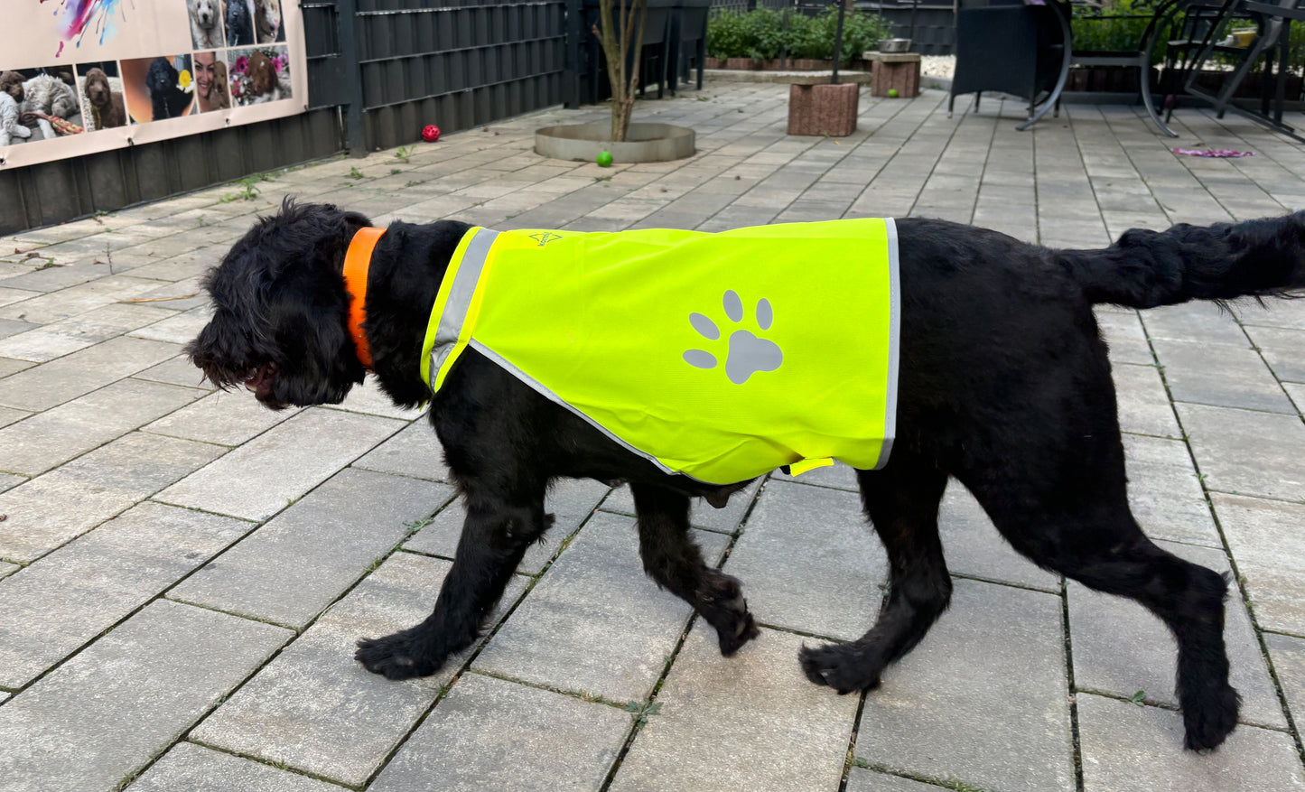 Hunde Warnweste reflektierend