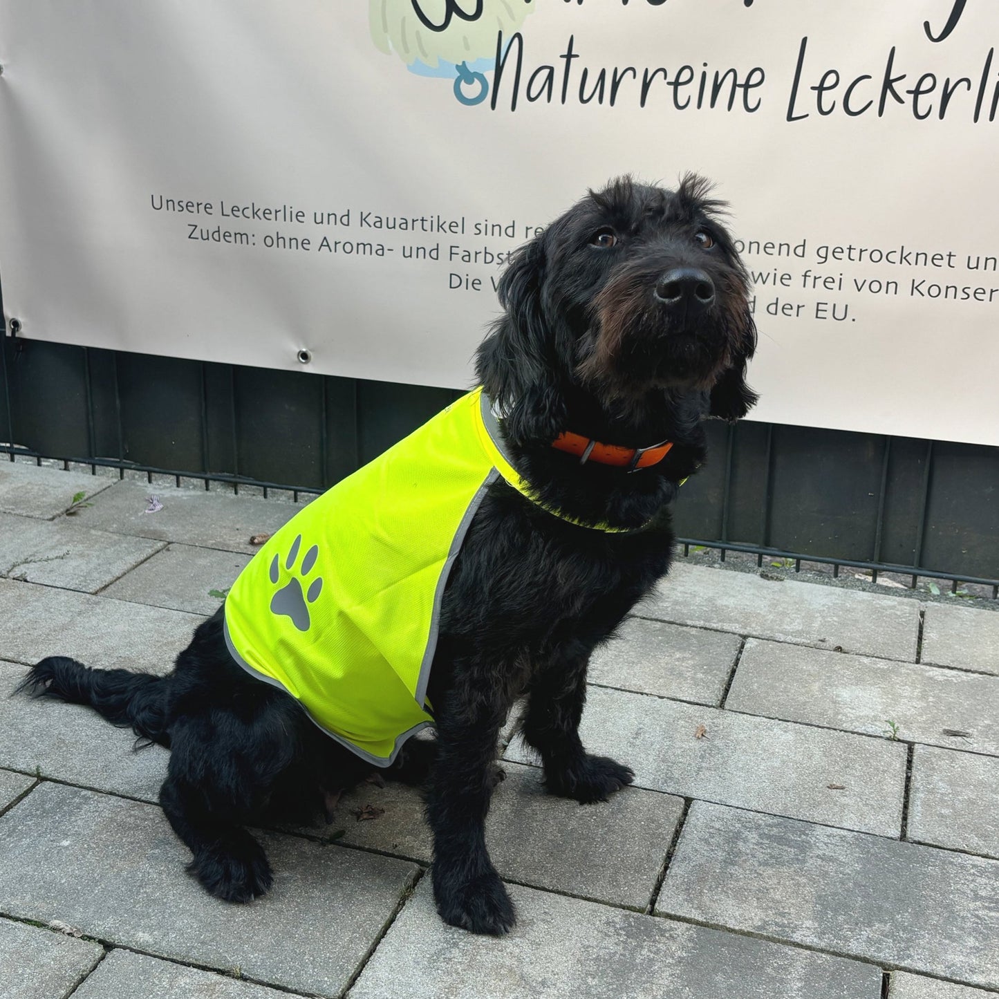Hunde Warnweste reflektierend