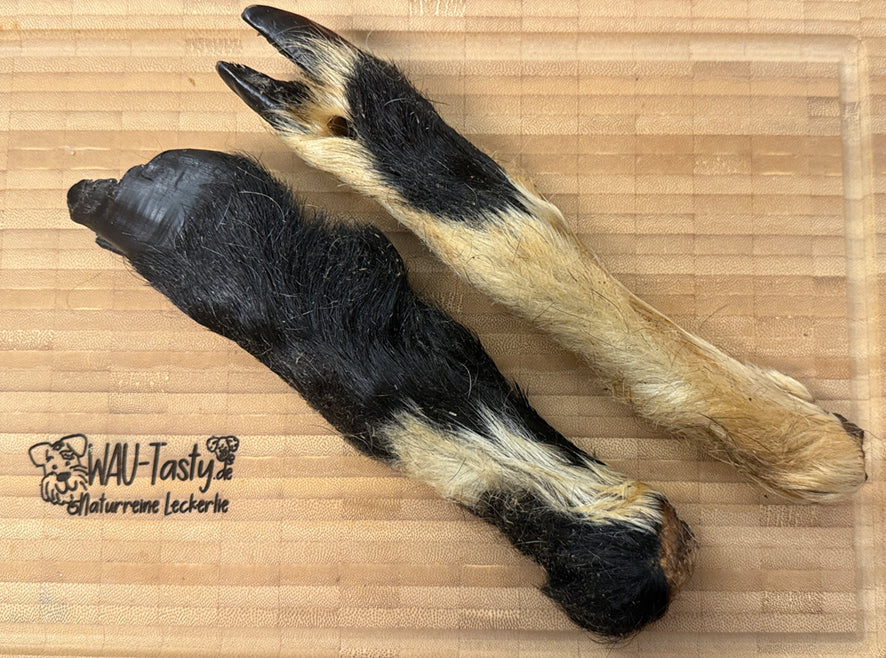 Ziegen-Bein mit Fell