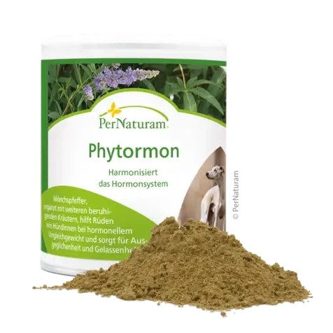 Phytormon - Hormonsystem Rüde/Hündin