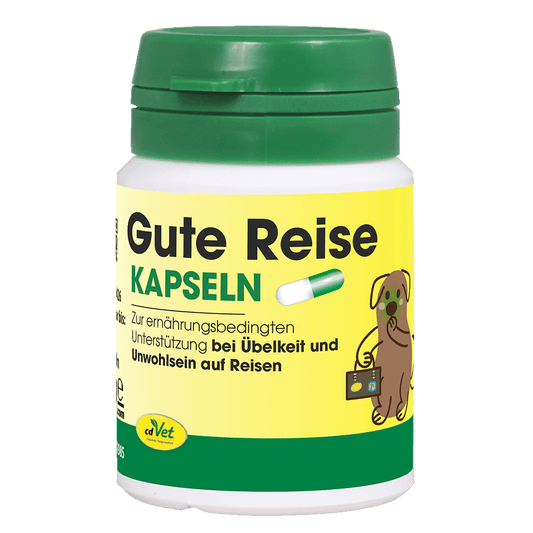 Gute Reise - Anti Kotzi