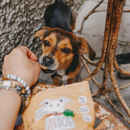 VEGGIES immune - Vegan