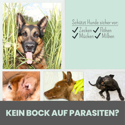 Zpot-on gegen Zecken, Flöhe & Milben