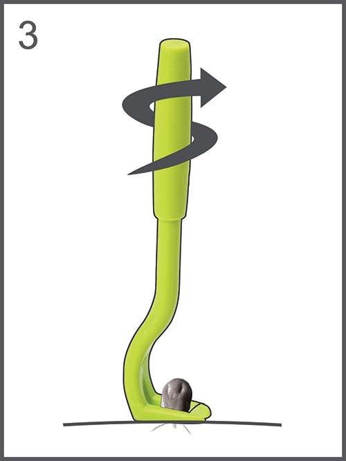 Zecken Haken - Set Tick Twister
