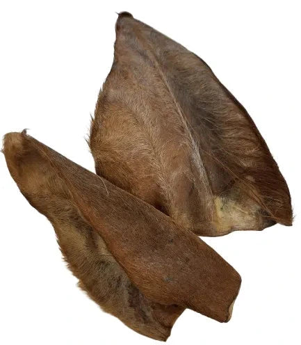 Büffel Ohren mit Fell