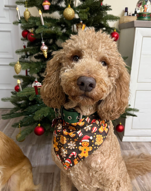 Halstuch - Weihnachten