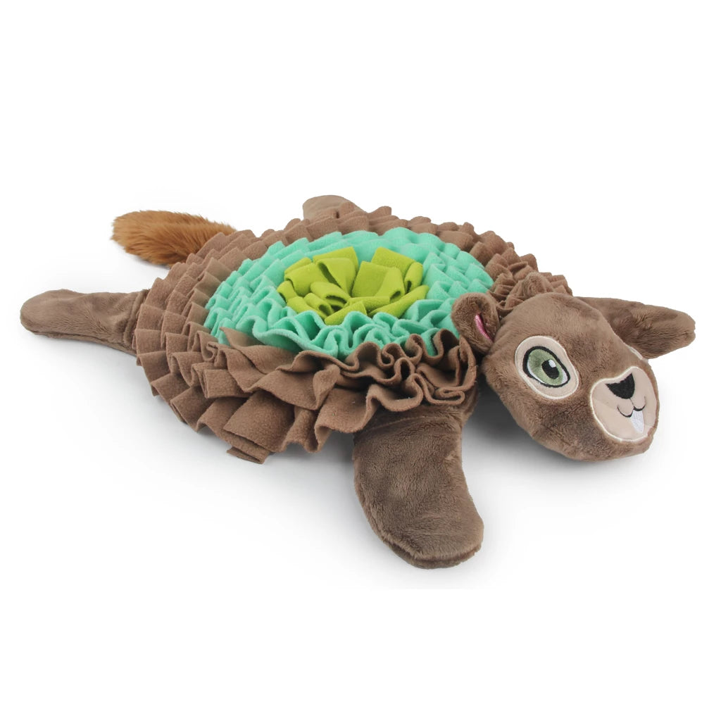 Suchteppich - Schildkröte
