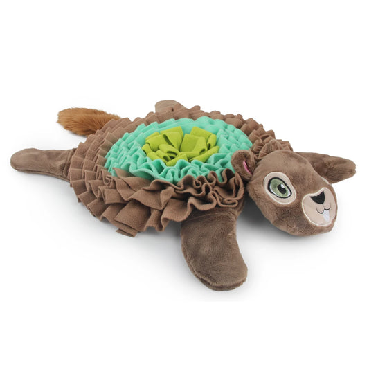 Suchteppich - Schildkröte