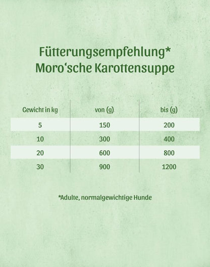 Karotten-Suppe nach Moro