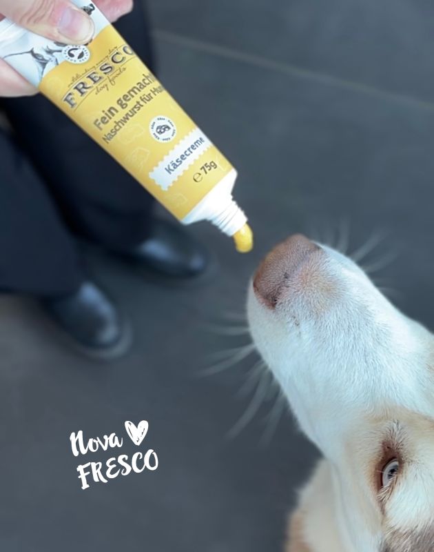 Belohnungs Tube - Nasch Creme