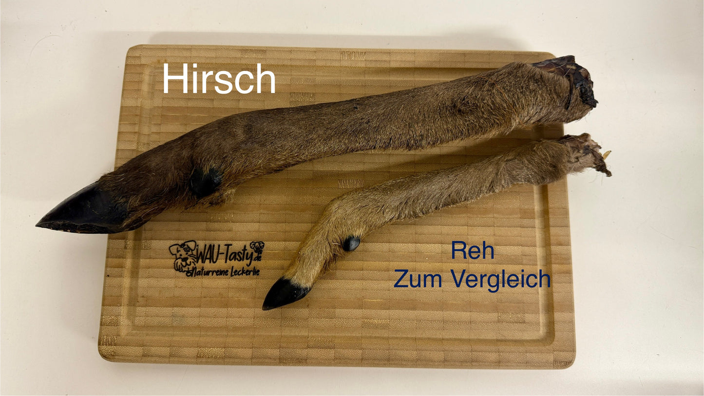 Hirsch-Bein mit Fell