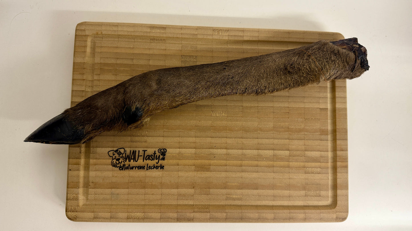 Hirsch-Bein mit Fell