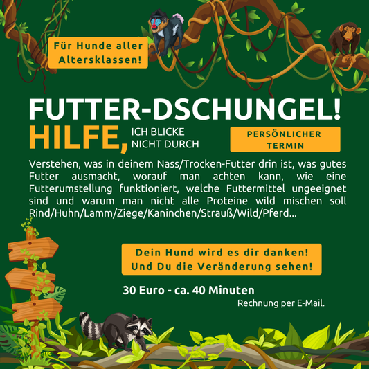 Persönlicher Termin - Futter-Dschungel
