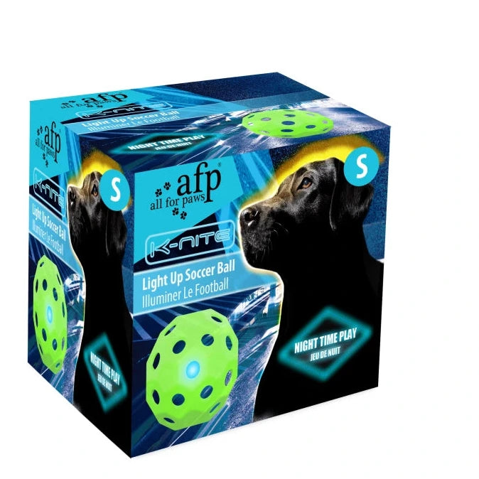 Leuchtender Ball - Light Up