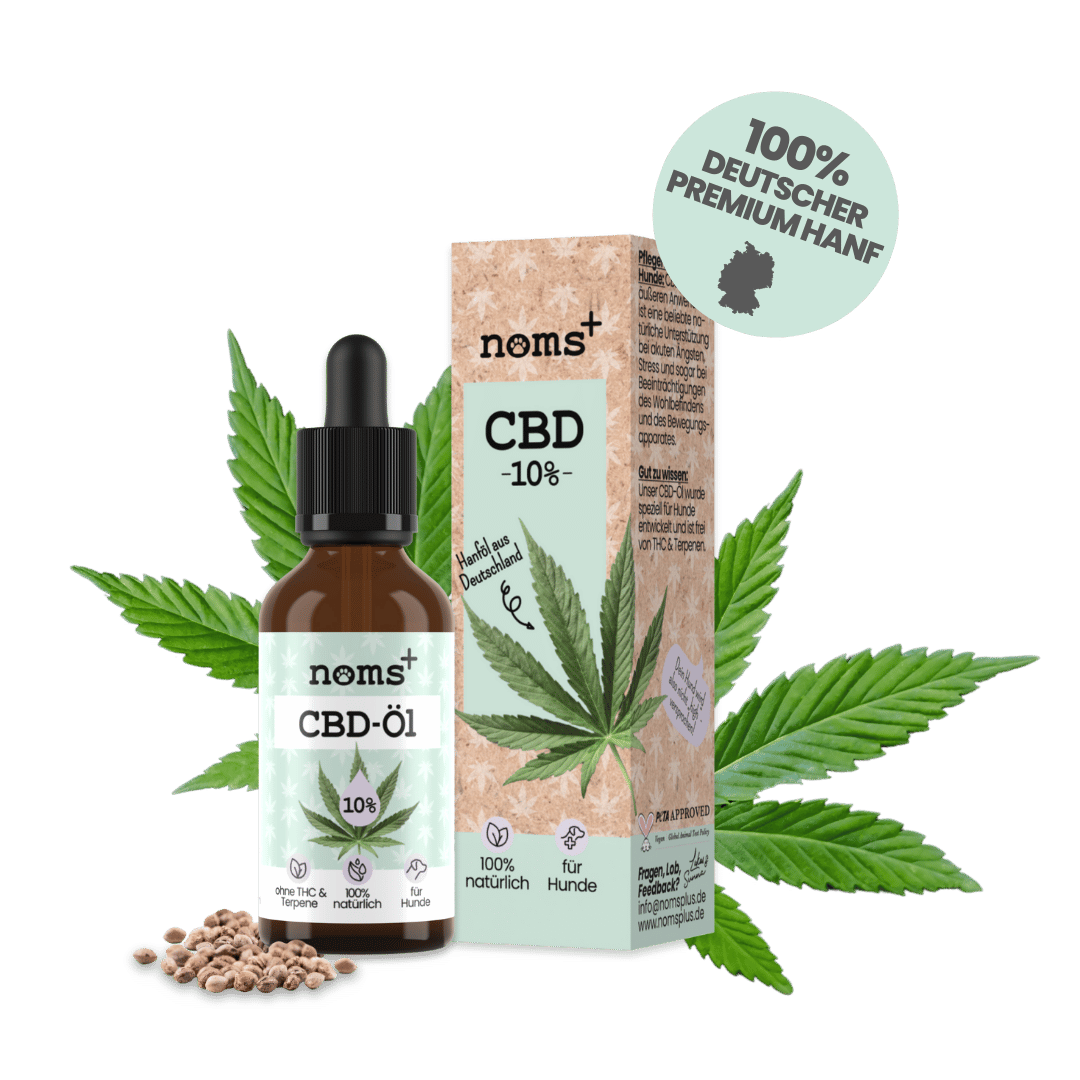 10% CBD Tropfen für Hunde