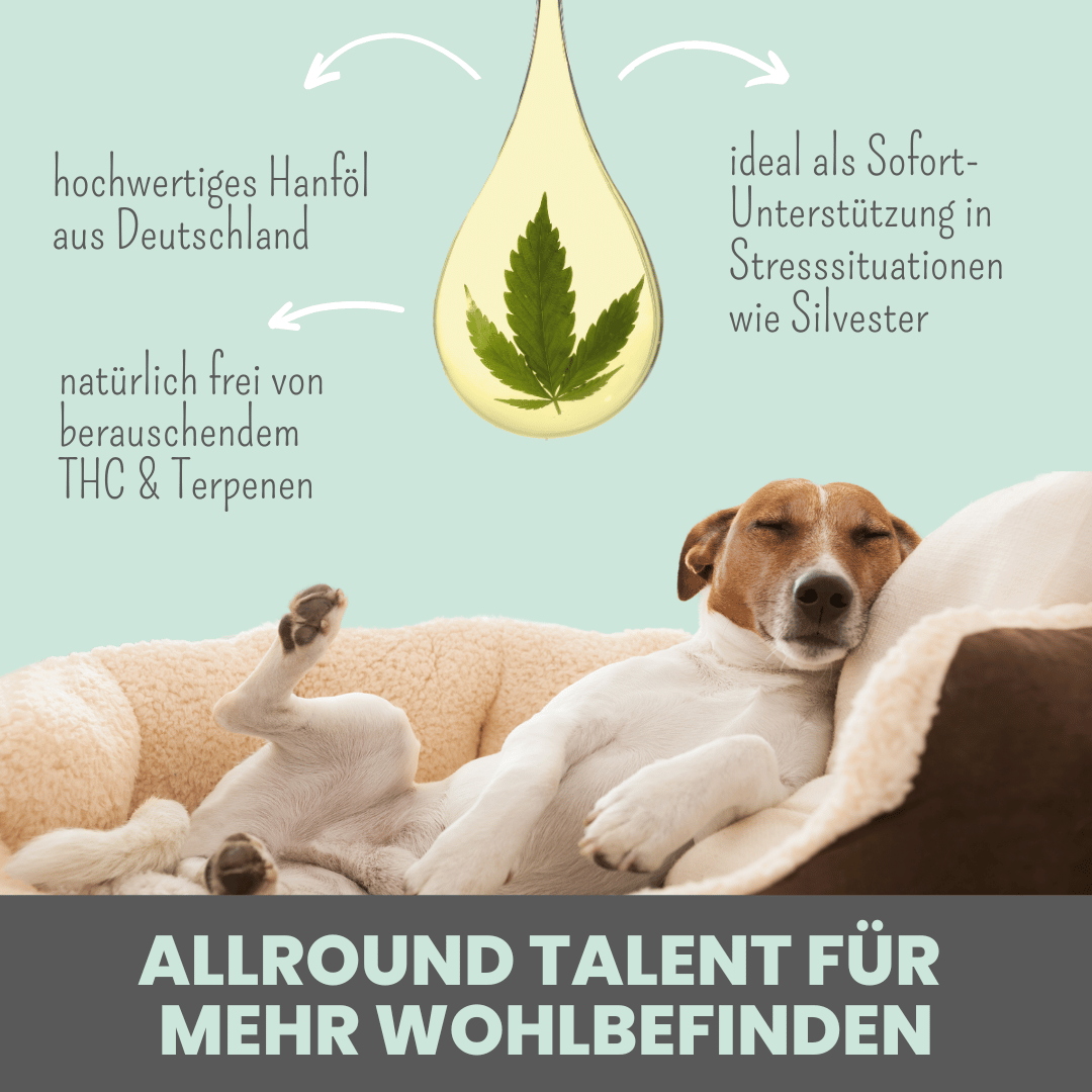 10% CBD Tropfen für Hunde
