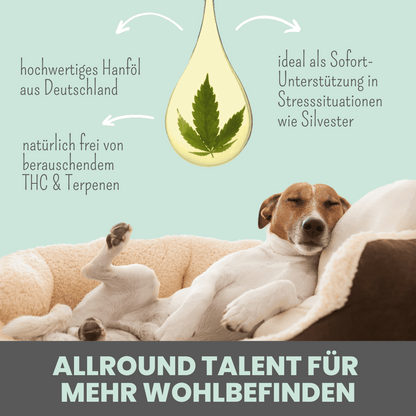 10% CBD Tropfen für Hunde