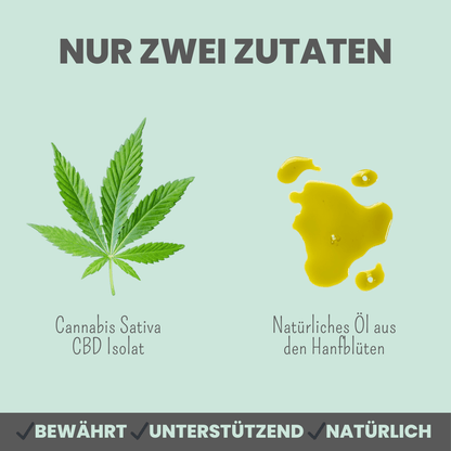 10% CBD Tropfen für Hunde
