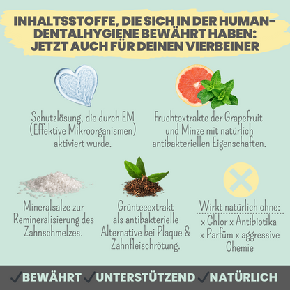 Dentalspray bei Zahnstein