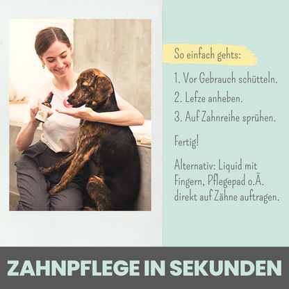 Dentalspray bei Zahnstein