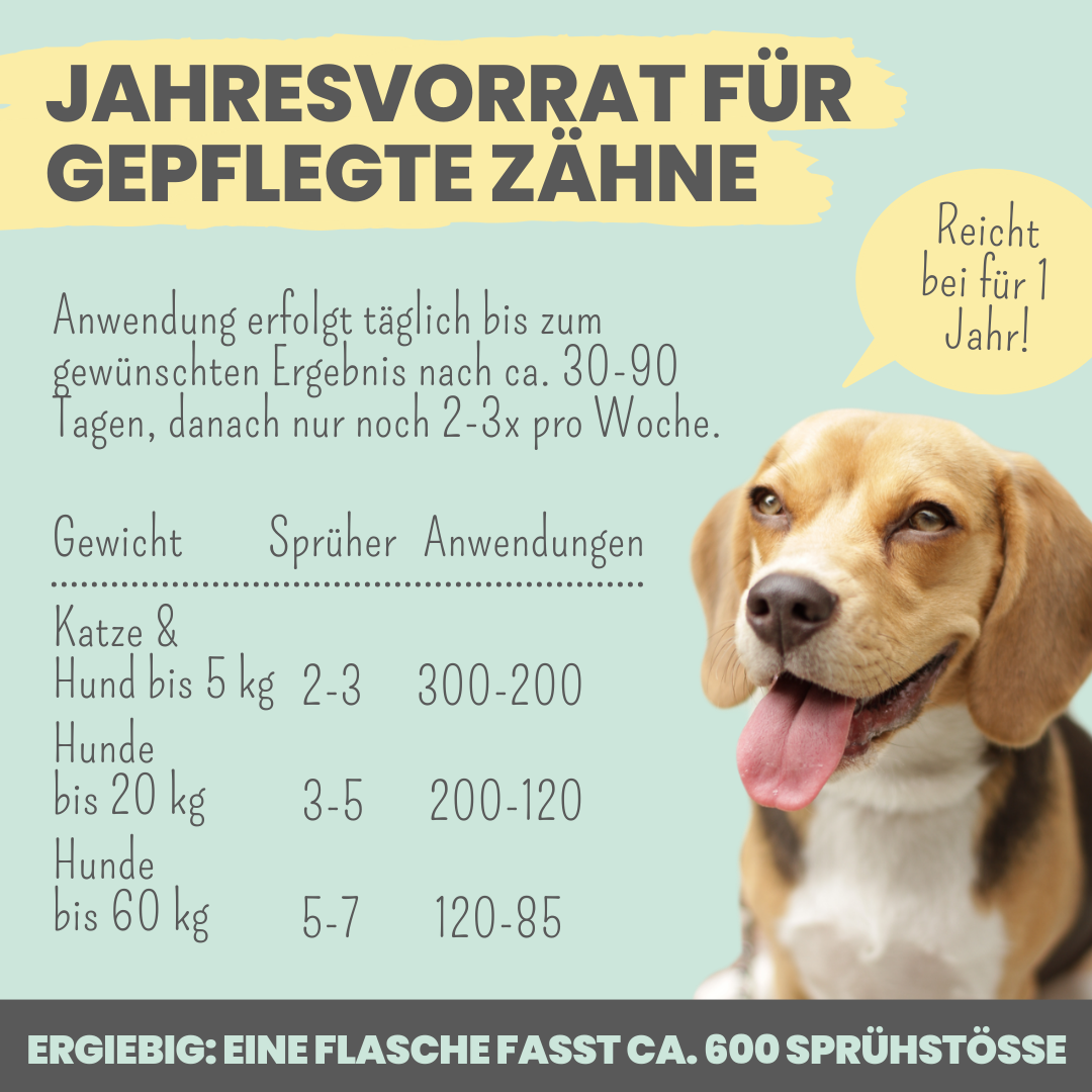 Dentalspray bei Zahnstein