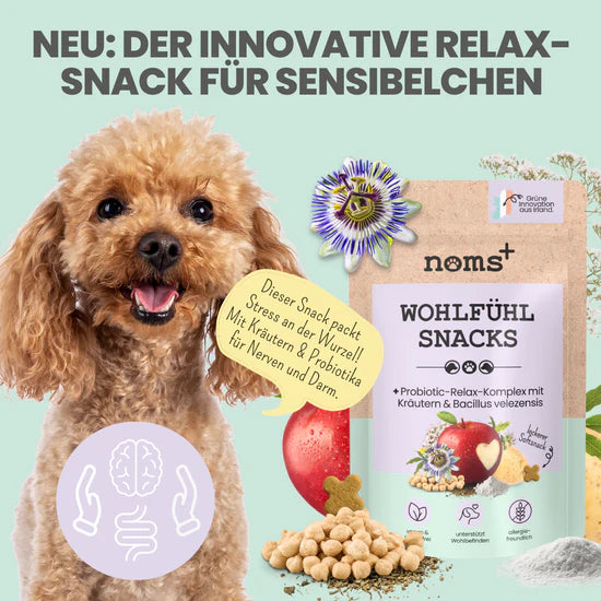 Wohlfühlsnacks für Hunde bei Stress, Angst, Unruhe & Hyperaktivität