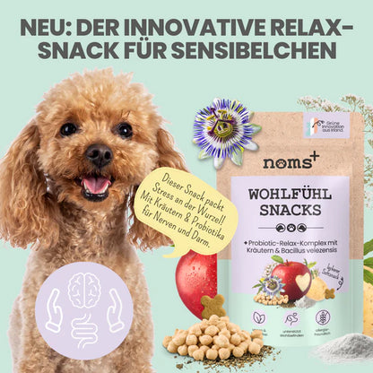Wohlfühlsnacks für Hunde bei Stress, Angst, Unruhe & Hyperaktivität