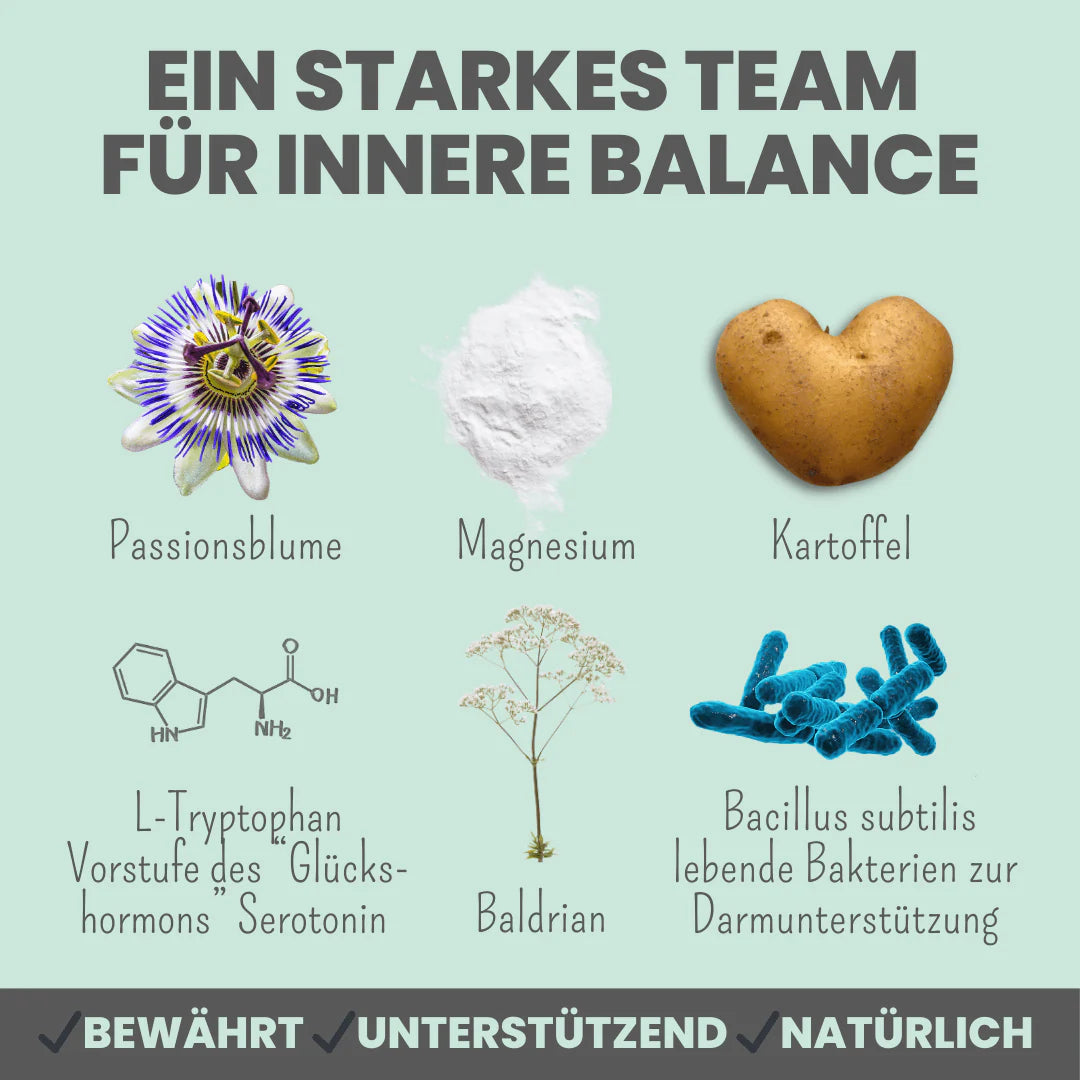 Wohlfühlsnacks für Hunde bei Stress, Angst, Unruhe & Hyperaktivität